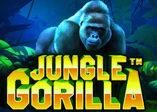 noah345 ดีไหม Jungle Gorilla ทดลองเล่นฟรี