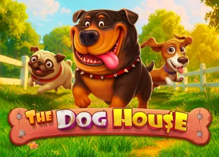 noah345 ดีไหม The Dog House ทดลองเล่นฟรี